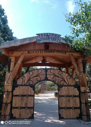 Реликтовая можжевеловая роща